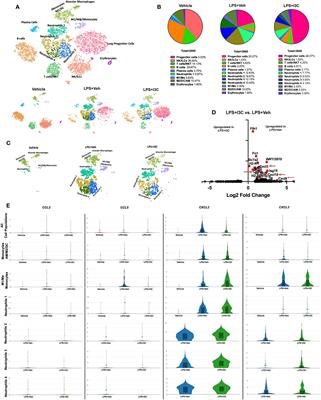 Indole-3-carbinol attenuates lipopolysaccharide-induced acute respiratory distress syndrome through activation of AhR: role of CCR2+ monocyte activation and recruitment in the regulation of CXCR2+ neutrophils in the lungs